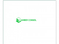 amber-conseils.com Thumbnail