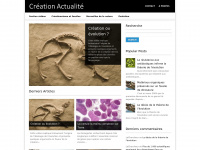 creationactualite.com