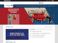handballrhone.org Thumbnail
