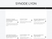 synodelyon2013.fr Thumbnail
