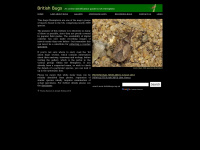 britishbugs.org.uk Thumbnail