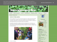 sauvagement-bon.blogspot.com Thumbnail