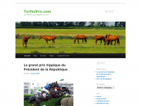 turfezpro.com Thumbnail
