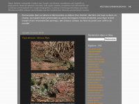 Dam-nature.blogspot.com