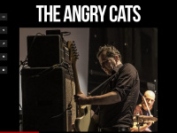 Theangrycats.com