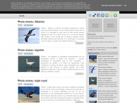 Photo-oiseaux.blogspot.com
