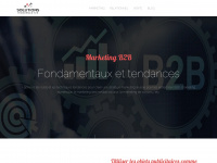 Solutions-marketing-btob.fr
