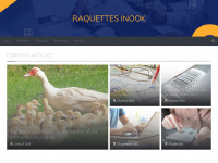 raquettes-inook.com