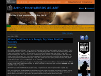 birdsasart-blog.com Thumbnail