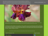 iris-and-orchidees.blogspot.com Thumbnail