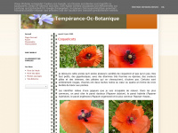 Temperance-oc-botanique.blogspot.com