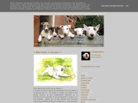Chiots-bull-terrier.blogspot.com