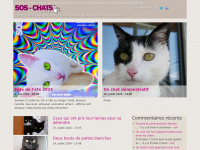 Sos-chats.ch