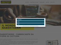 nabertherm-forni.com