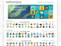 iconexperience.com
