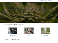 grainesdecannabis.info Thumbnail