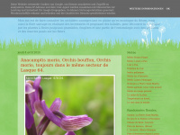 orchideebearn.blogspot.com