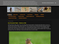 birdsofsaudiarabia.com Thumbnail