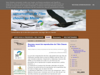 ibis-chauve.blogspot.com Thumbnail