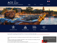 ace-audit.com