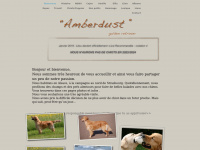 Amberdust.com