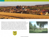 Koetzingue.net