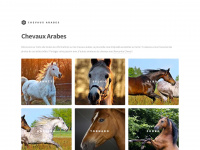 chevaux-arabes.com Thumbnail