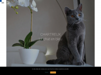 Chartreux-europe.com