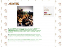 monteil-sa.com