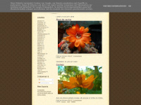 Fleursflowers.blogspot.com