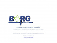 borg-energies.com