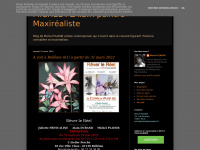 michelplaisir-peintremaxirealiste.blogspot.com Thumbnail
