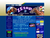 zetop.info Thumbnail
