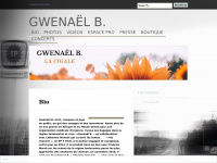 gwenaelb.com Thumbnail
