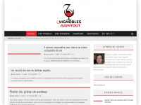 Vignobles-saintout.com