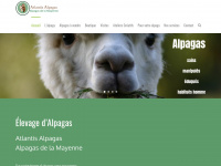Atlantis-alpacas.com