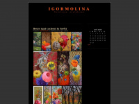 igormolina.wordpress.com Thumbnail