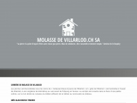 molassedevillarlod.ch Thumbnail