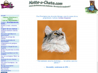 Natte-a-chats.com