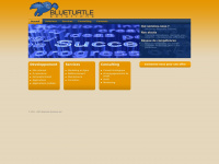 blueturtle-solutions.com Thumbnail
