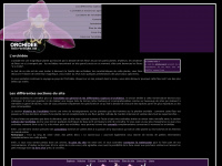 belle-orchidee.com Thumbnail