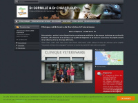 clinique-veterinaire-concarneau-kerviniou.fr