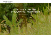 Michelchavet.com