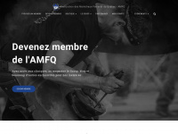 Amfq.org