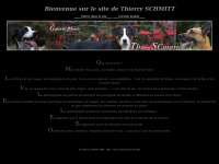 thierryschmitt.fr Thumbnail