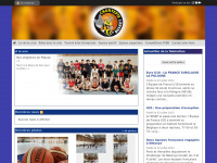 Chantepie-basket.com