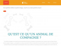 animal-compagnie.fr Thumbnail