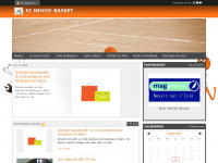 Scneuvicbasket.com