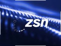 zsn.com Thumbnail