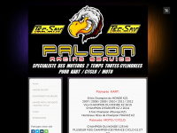 Falcon-rs.com